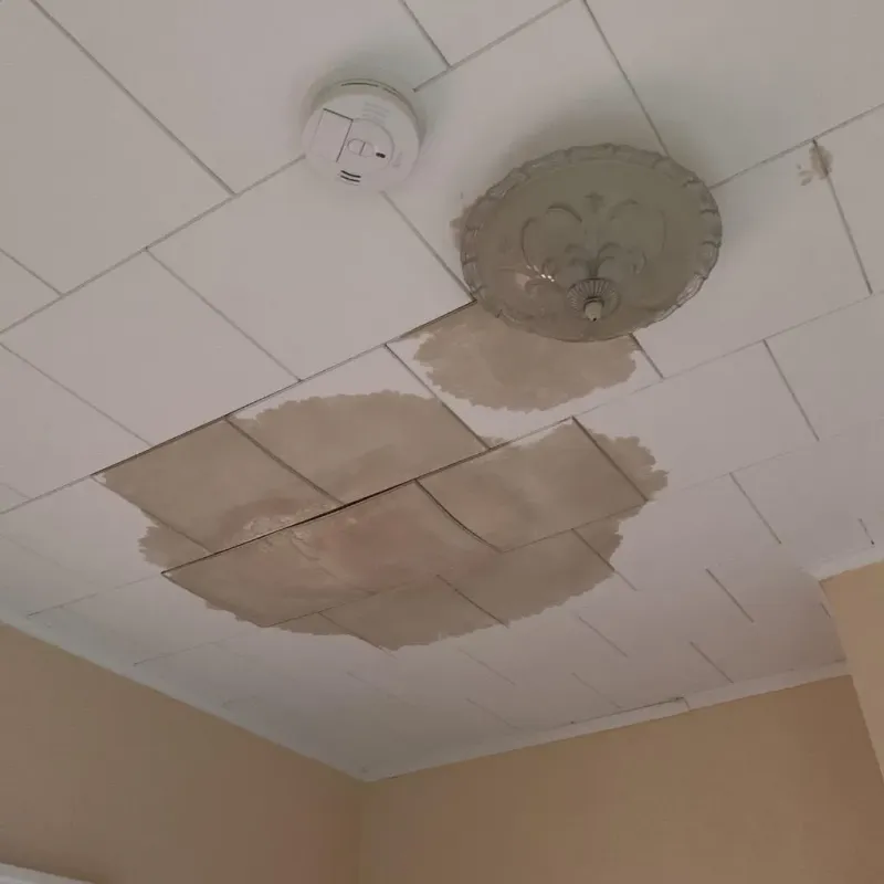 Ceiling Water Damage Repair in Mountlake Terrace, WA