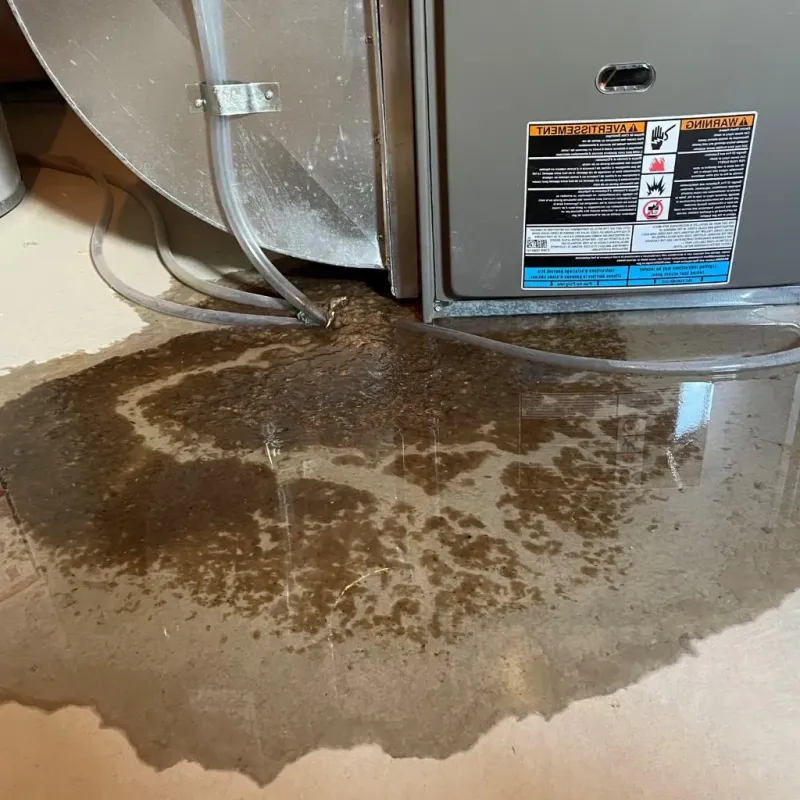 Pipe Burst and Leak Restoration in Mountlake Terrace, WA